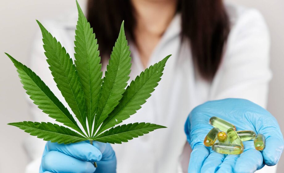 Cannabis cos'è e quali sono gli effetti terapeutici