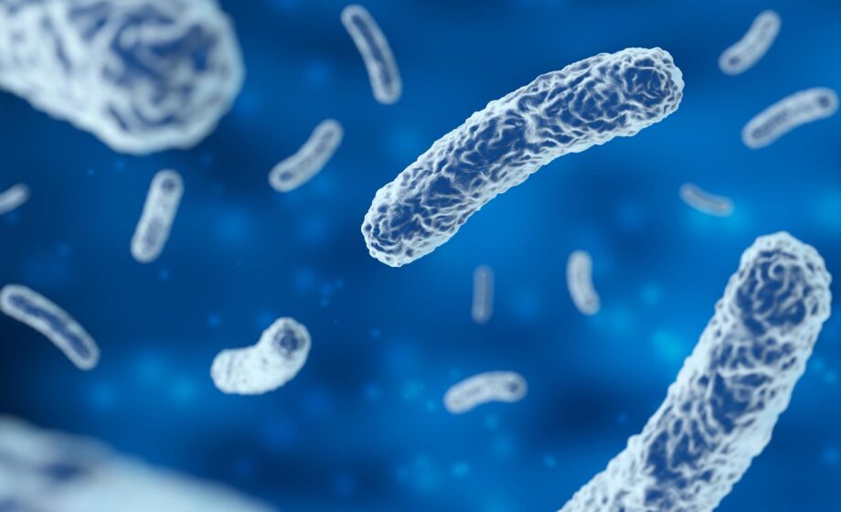 Microbioma e nuove prospettive di prevenzione