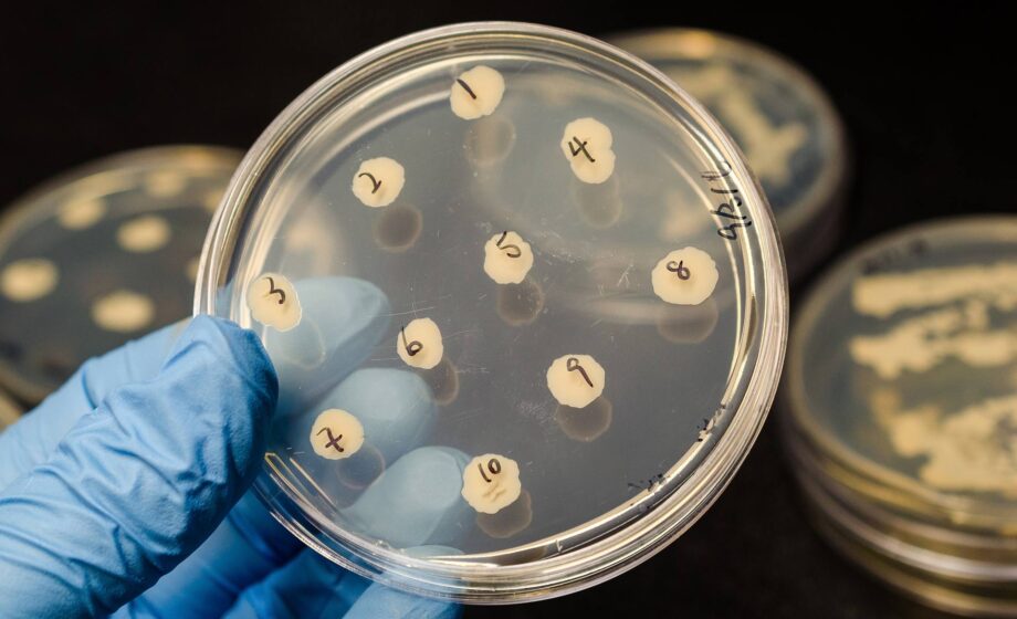 Antibiotico resistenza: che cos'è e perché può essere pericolosa?