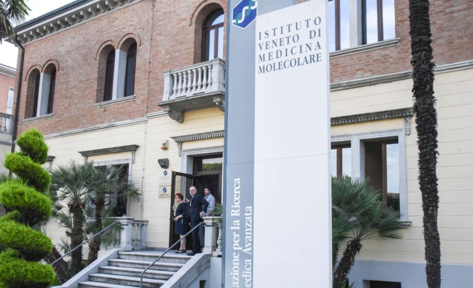 VIMM al World Health Forum Veneto