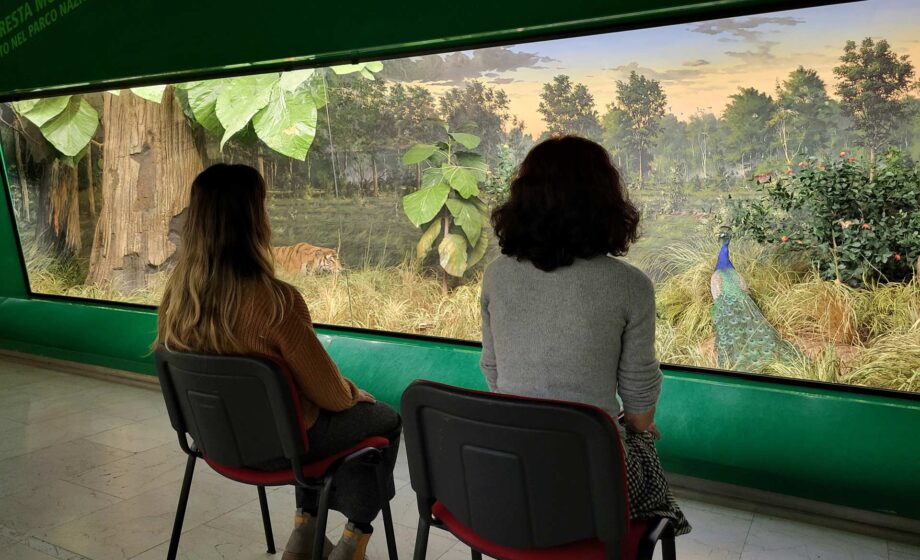 Due persone sedute su una sedia, dentro un museo, mentre guardano dei quadri artistici per ridurre ansia e stress