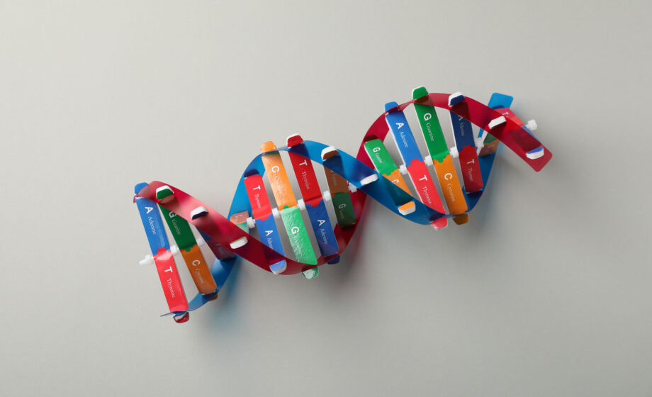 Illustrazione di una doppia elica di DNA che evoca i nodi del DNA