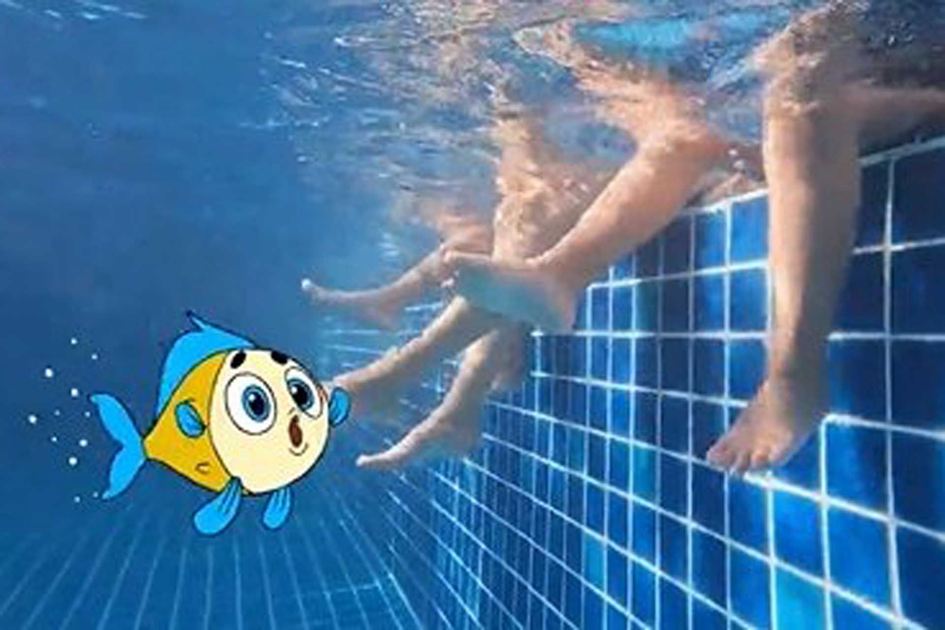 Pesciolino salvo in acqua per ricordare le regole della sicurezza